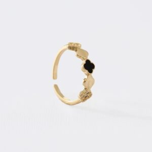 Anillo CT Kimgom Ajustable
